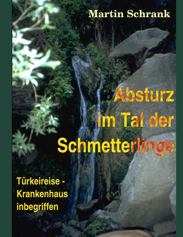 Absturz im Tal der Schmetterlinge - Martin Schrank