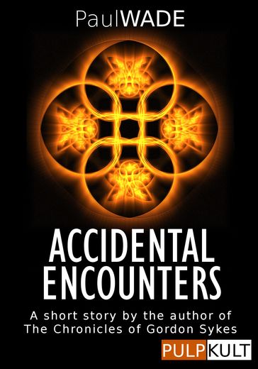 Accidental Encounters - Paul Wade