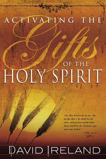 Activating the Gifts of the Holy Spirit - David Ireland
