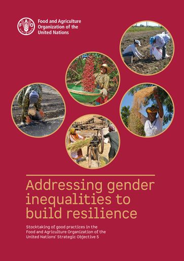 Addressing Gender Inequalities to Build Resilience: Stocktaking of Good Practices in the Food and Agriculture Organization of the United Nations' Strategic Objective 5 - Food and Agriculture Organization of the United Nations