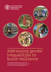 Addressing Gender Inequalities to Build Resilience: Stocktaking of Good Practices in the Food and Agriculture Organization of the United Nations