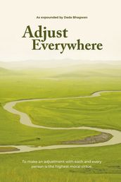 Adjust Everywhere (In English)