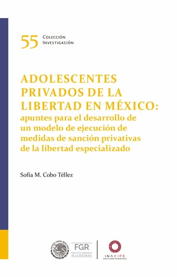 Adolescentes privados de la libertad en México: - Sofía Magdalena Cobo Téllez