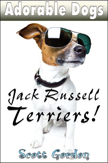 Adorable Dogs: Jack Russell Terriers - Gordon Scott