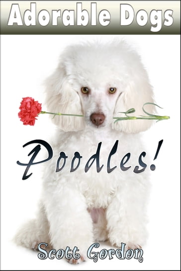 Adorable Dogs: Poodles! - Gordon Scott
