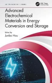 Advanced Electrochemical Materials in Energy Conversion and Storage