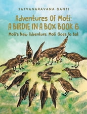 Adventures Of Moti A Birdie In A Box Book 6