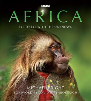 Africa - Michael Bright