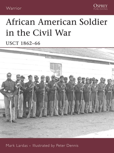 African American Soldier in the Civil War - Mark Lardas