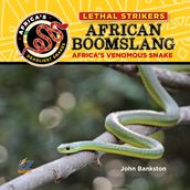 African Boomslang: Africa s Most Venomous Snake