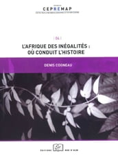 L Afrique des inégalités : où conduit l histoire