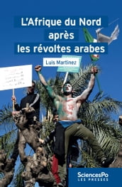 L Afrique du Nord après les révoltes arabes