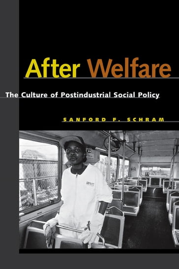 After Welfare - Sanford F. Schram