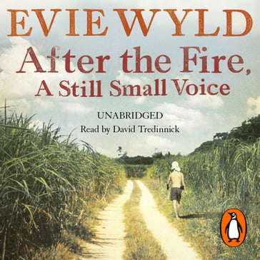 After the Fire, A Still Small Voice - Evie Wyld