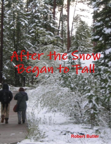 After the Snow Began to Fall - Robert Butler