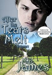 After the Tears Melt - Vol. 1 (The Muse Series #3)