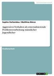 Aggressives Verhalten als externalisierende Problemverarbeitung männlicher Jugendlicher