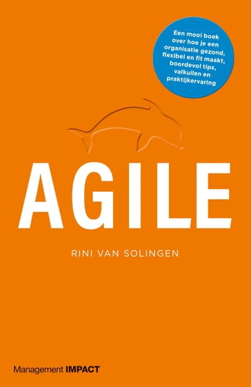 Agile - Rini van Solingen