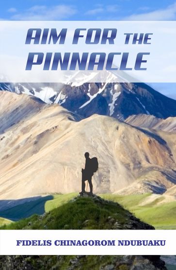 Aim for the Pinnacle - Fidelis Chinagorom
