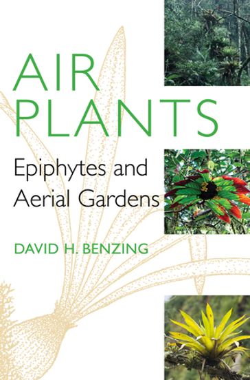 Air Plants - David H. Benzing