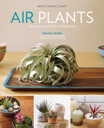 Air Plants - Zenaida Sengo