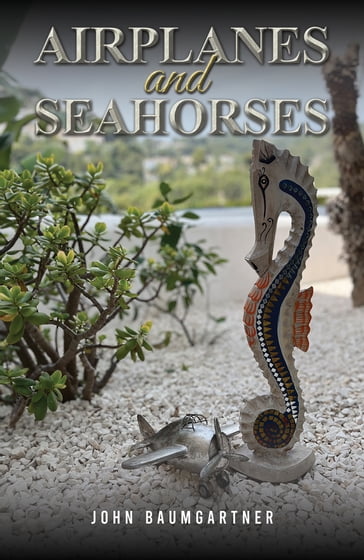 Airplanes and Seahorses - John Baumgartner