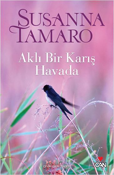 Akl Bir Kar Havada - Susanna Tamaro