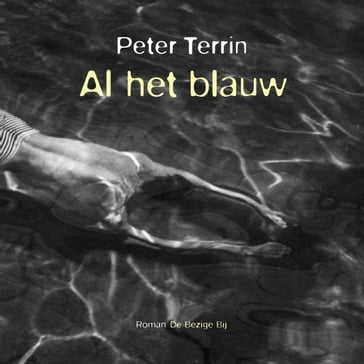 Al het blauw - Peter Terrin