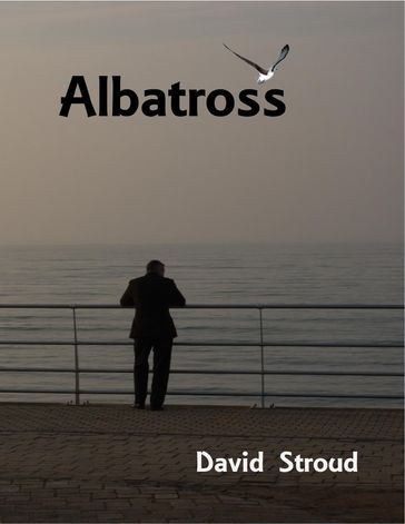 Albatross - David Stroud