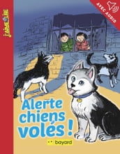 Alerte, chiens volés !