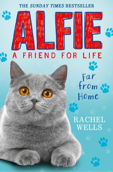 Alfie Far From Home - Rachel Wells