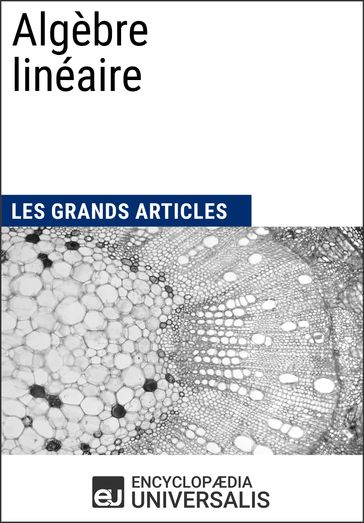 Algèbre linéaire - Encyclopaedia Universalis - Les Grands Articles