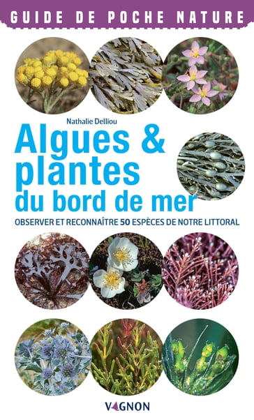Algues & plantes du bord de mer - Nathalie Delliou