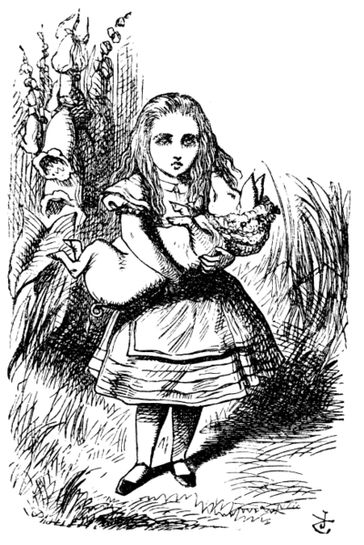Alice au Pays des Merveilles - Henri Bué - Carroll Lewis - Sir John Tenniel