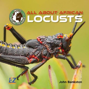 All About African Locusts - John Bankston