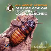 All About African Madagascar Hissing Cockroaches