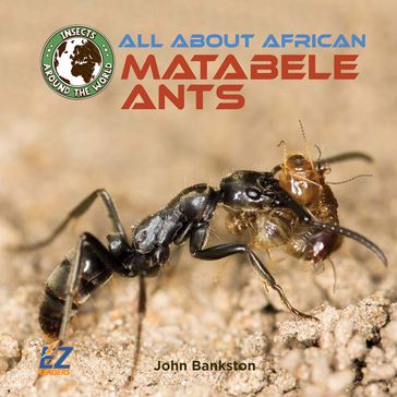 All About African Matabele Ants - John Bankston