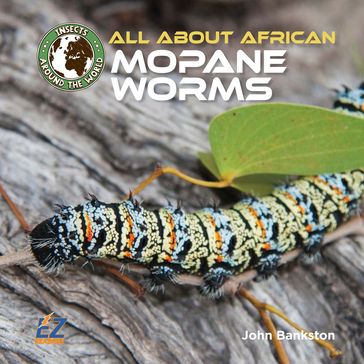 All About African Mopane Worms - John Bankston