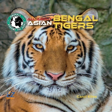 All About Asian Bengal Tigers - Carol Kline