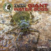 All About Asian Giant Water Bugs