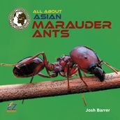 All About Asian Marauder Ants