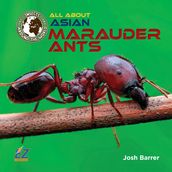 All About Asian Marauder Ants