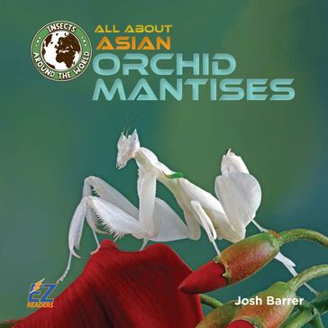 All About Asian Orchid Mantises - Josh Barrer