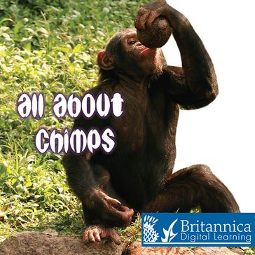 All About Chimps - Cindy Rodriguez