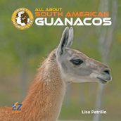 All About South American Guanacos