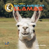 All About South American Llamas