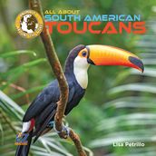 All About South American Toucans