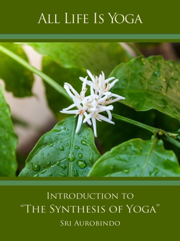 All Life Is Yoga: Introduction to "The Synthesis of Yoga" - Sri Aurobindo