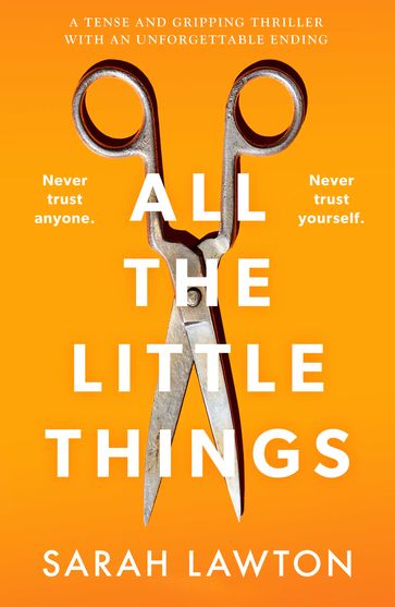All The Little Things - Sarah Lawton