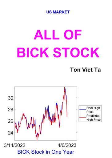 All of BICK Stock - Ta Viet Ton